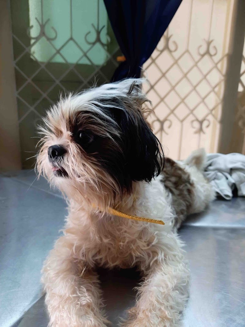 Bluewings petclinic — Photo 3