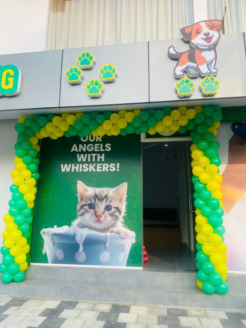 BOWMEOW PET STORE AND GROOMING PARLOUR