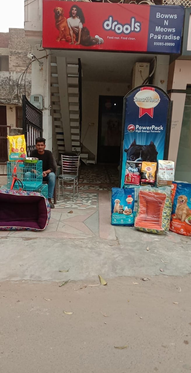 Bowws n meows pawradise