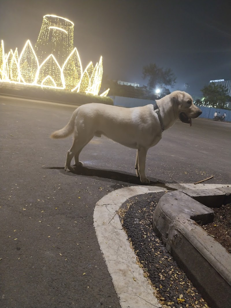 BUBBU_COOCKIE PET BORDING AND WALKING