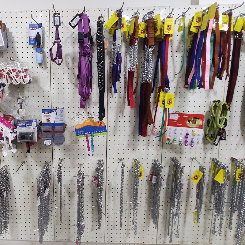 Buddy&Kitty - An Exclusive Petstore | Hubli — Photo 3