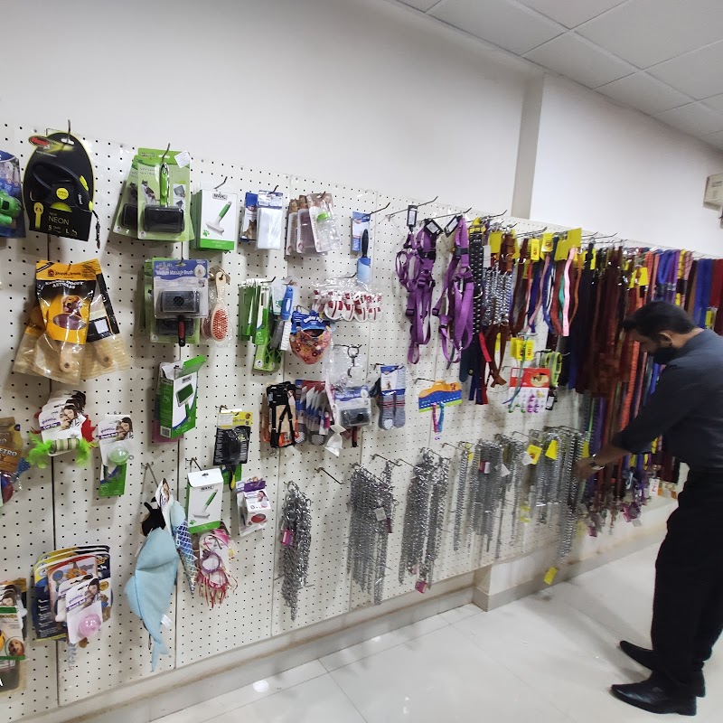 Buddy&Kitty - An Exclusive Petstore | Hubli — Photo 4