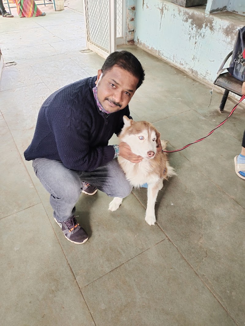 C-76 veterinarian — Photo 2