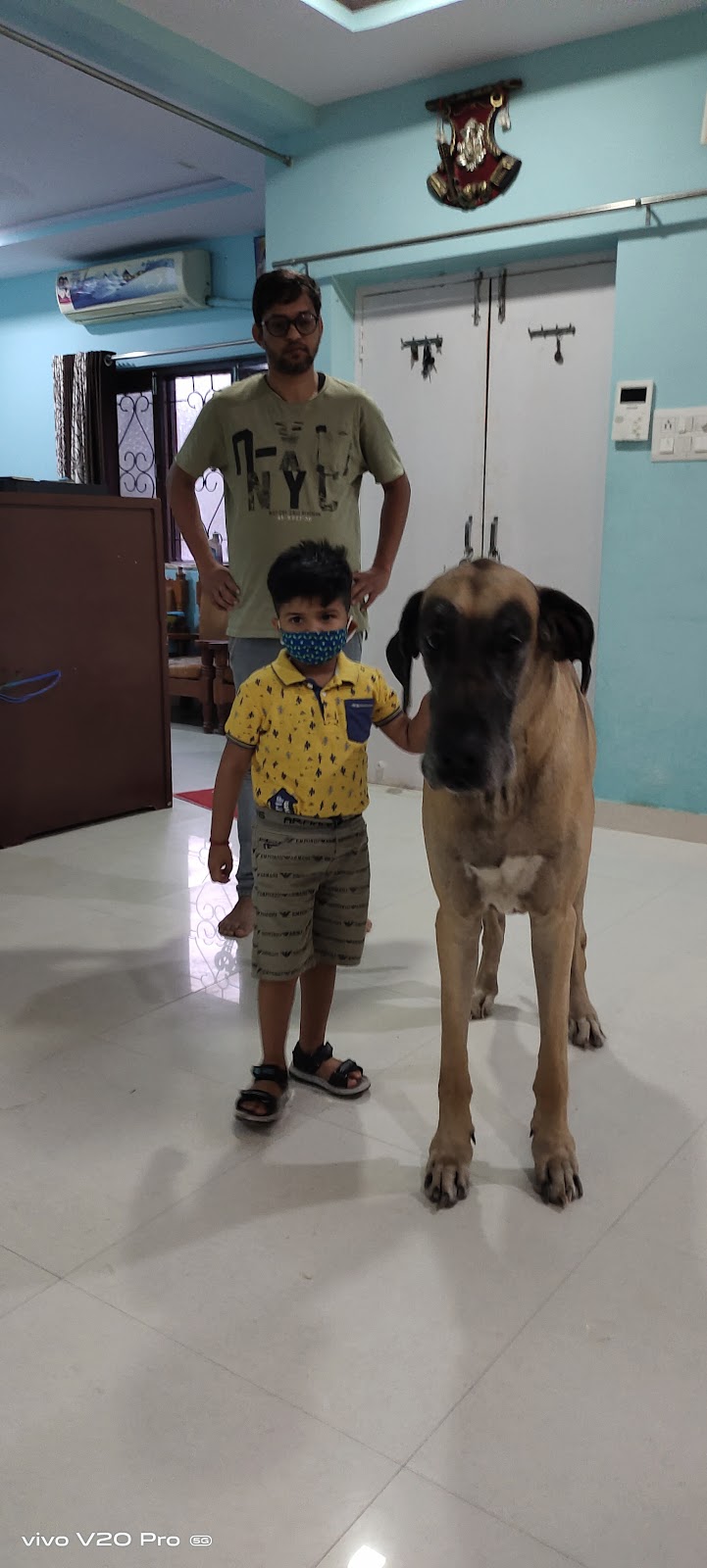 C-76 veterinarian — Photo 3