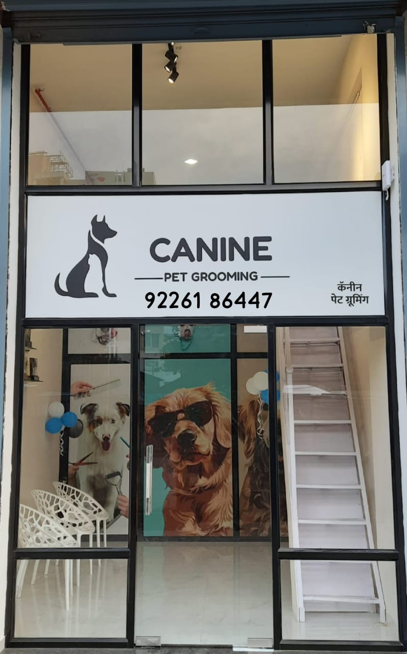 Canine Pet Grooming