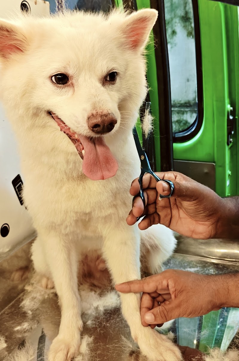 CANMOZ Mobile Pet Grooming and Spa — Photo 2