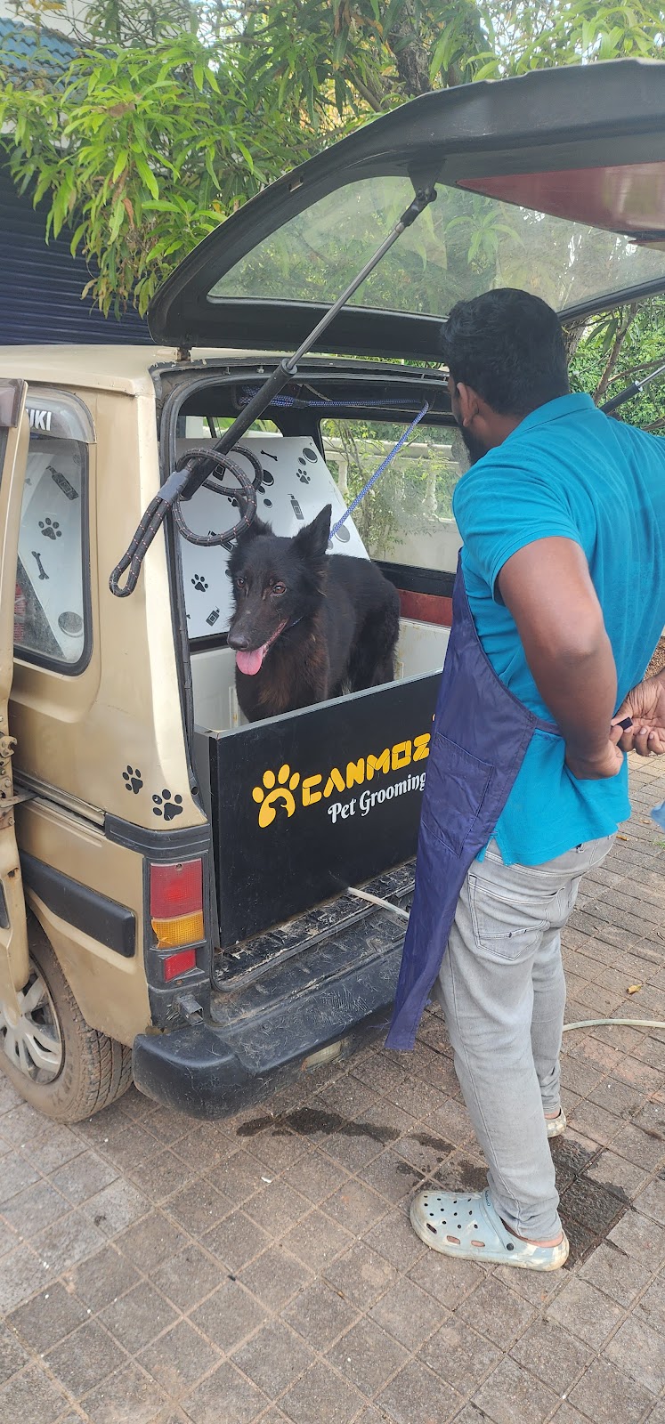 CANMOZ Mobile Pet Grooming and Spa — Photo 3