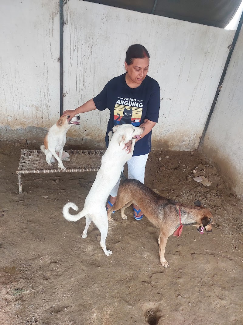 Casper's Home — Photo 2