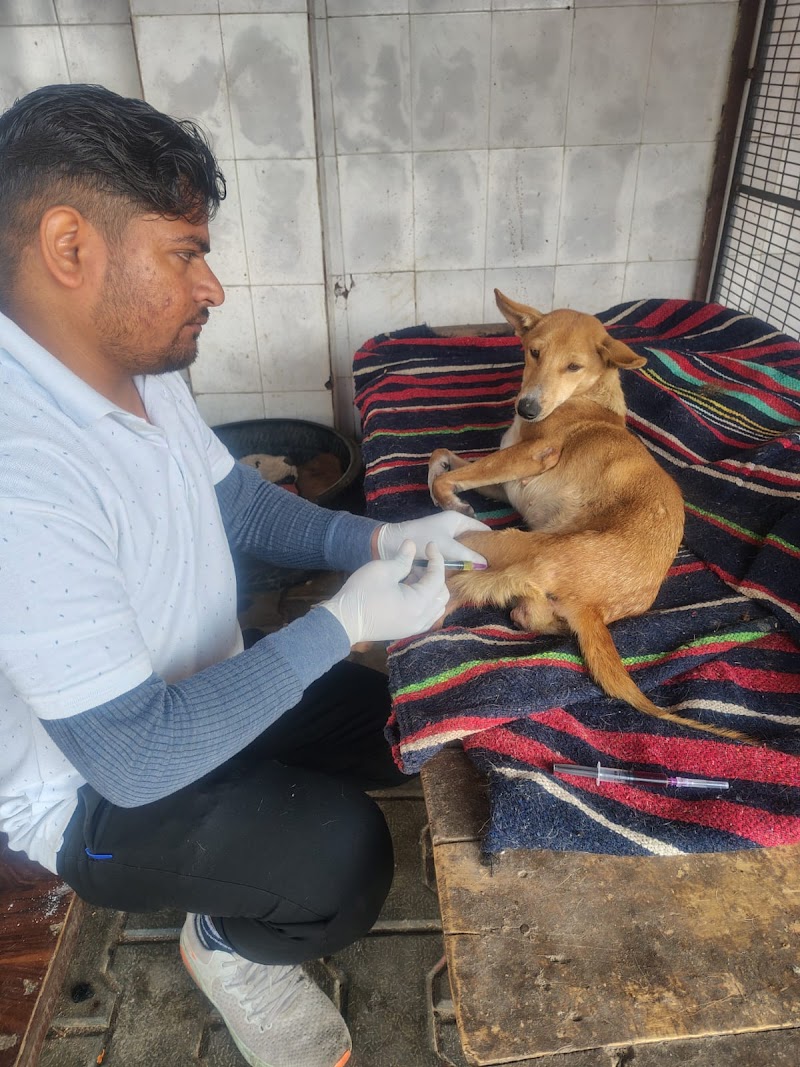 Casper's Home — Photo 3