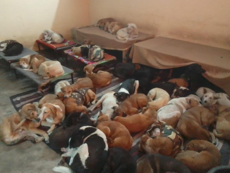 Casper's Home — Photo 4