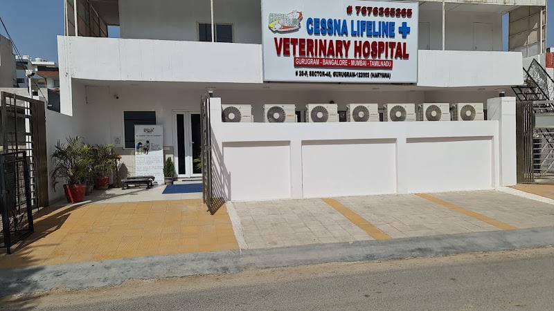 Cessna Lifeline Veterinary Hospital, Gurugram