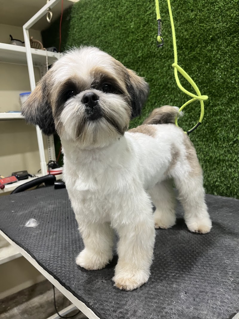 Charlie’s pet grooming and spa