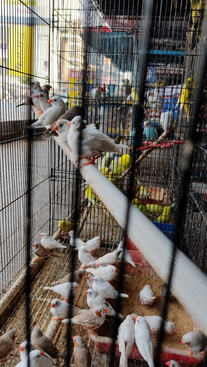 Chemmachel Hi-Tech Aquarium & Music Fountain — Photo 2