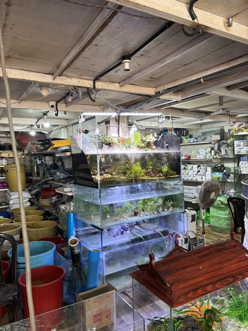 Chemmachel Hi-Tech Aquarium & Music Fountain — Photo 3