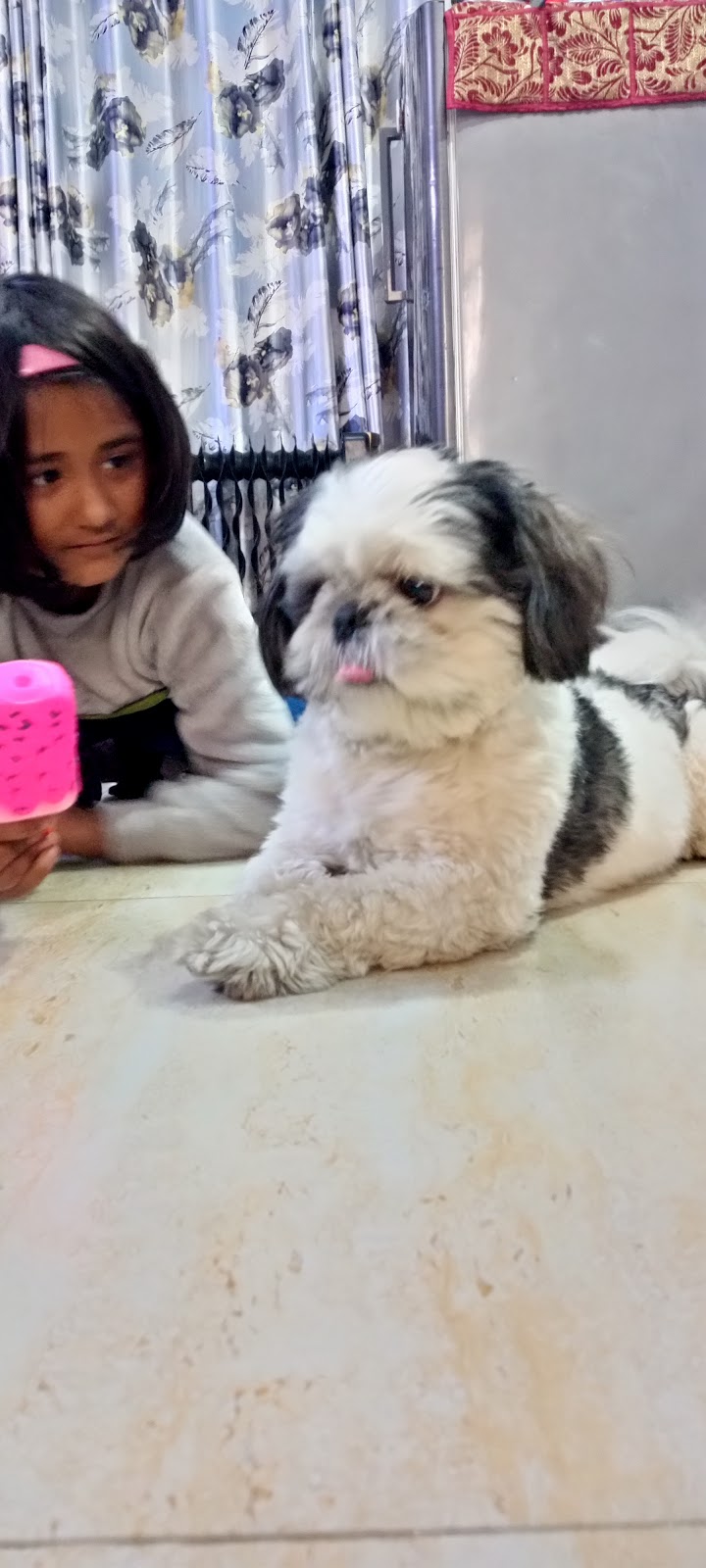 Cherry's Pet Boarding & Day Care