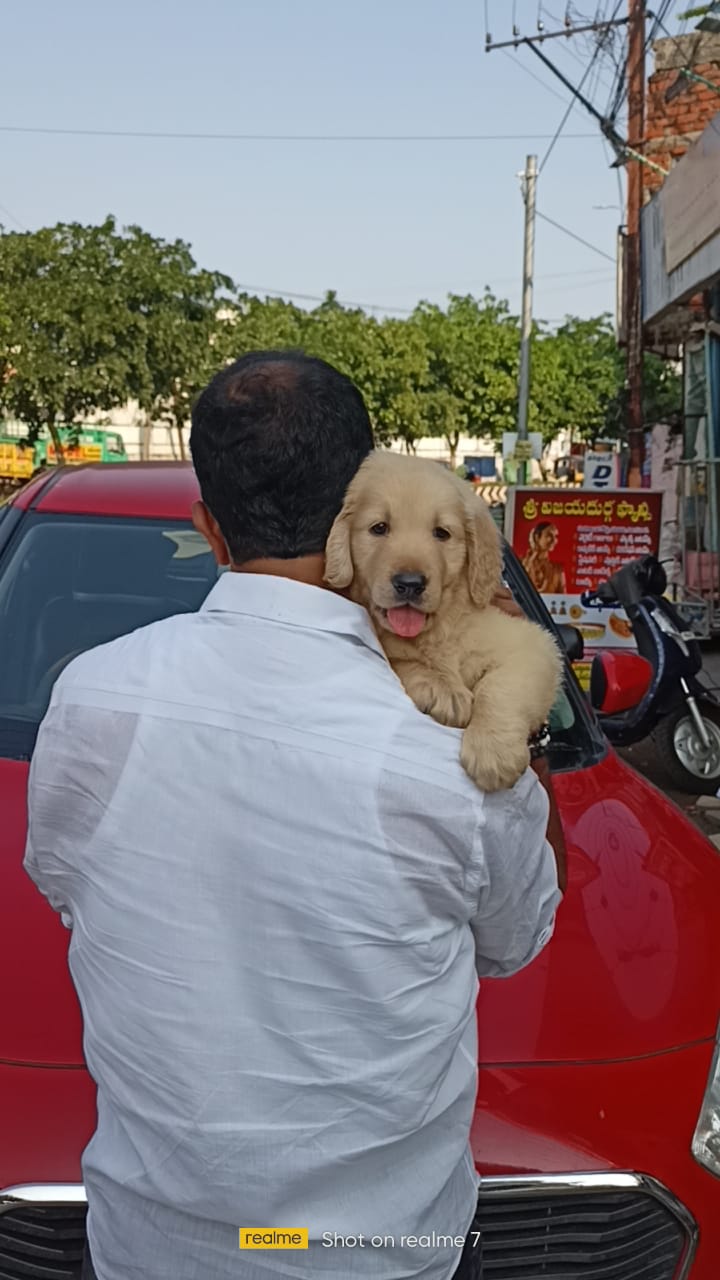 Chetans Google Aquariums — Photo 4