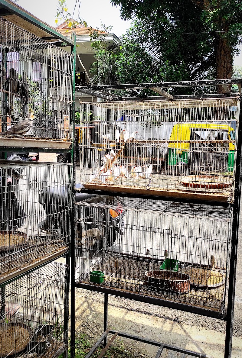 Chinnu's Pet Shop — Photo 2