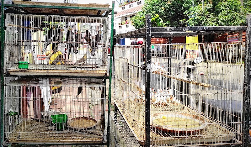 Chinnu's Pet Shop — Photo 3