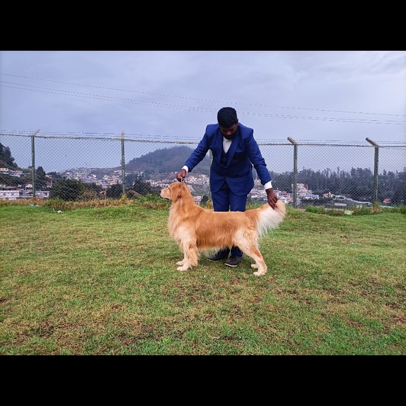 Chittu Kennel Pet Boarding &spa — Photo 3