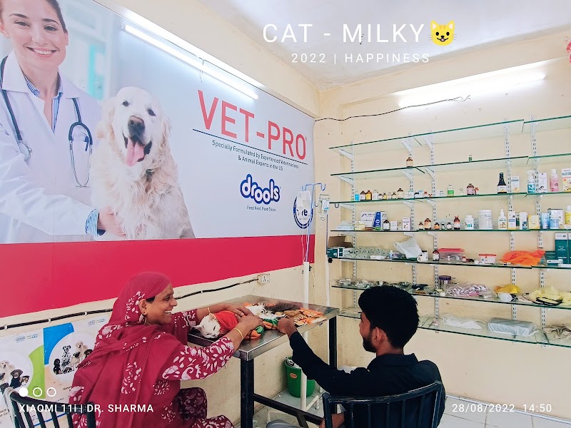 City pet clinic — Photo 2