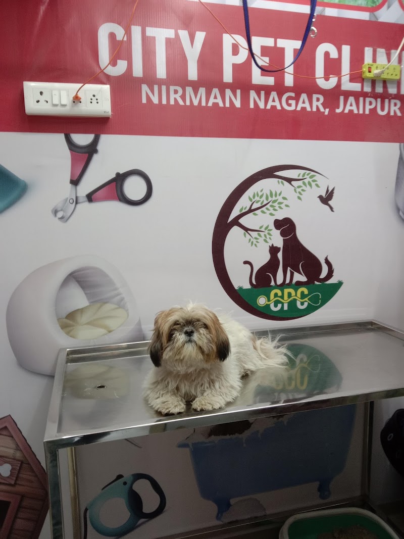 City pet clinic Jaipur