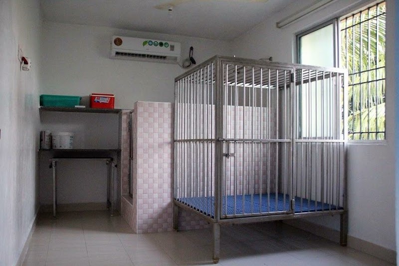 CLEKAR Dog Boarding Kennel AC