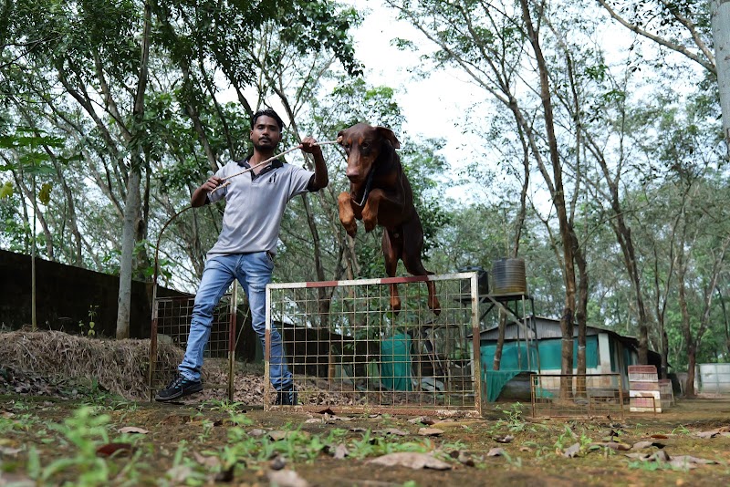 Cochin Dog Training Academy