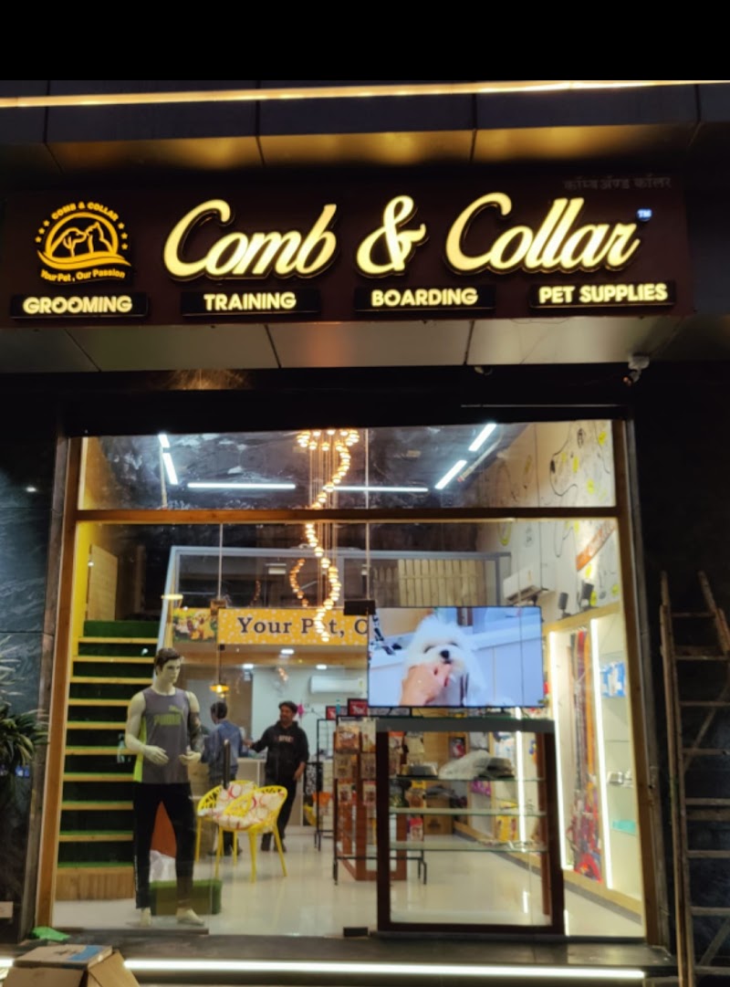 Comb & Collar Pet Grooming, Training, Pet supplies and 24/7 cage free Boarding