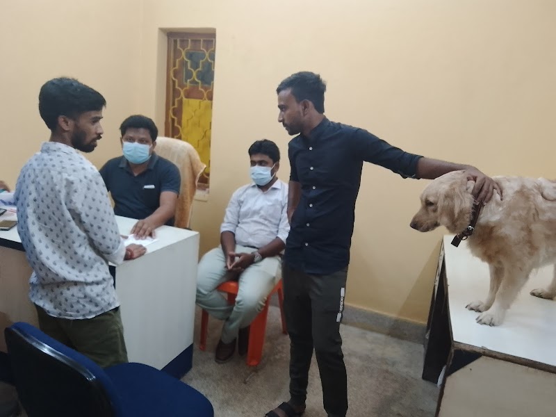 Companion Pet Clinic