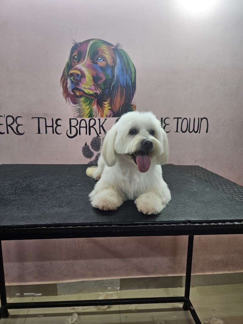 CookiePaws Grooming Centre for pets — Photo 2