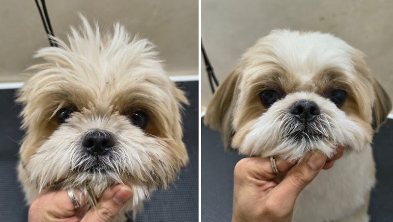 Cuddle Grooms (Dog grooming and accessories)