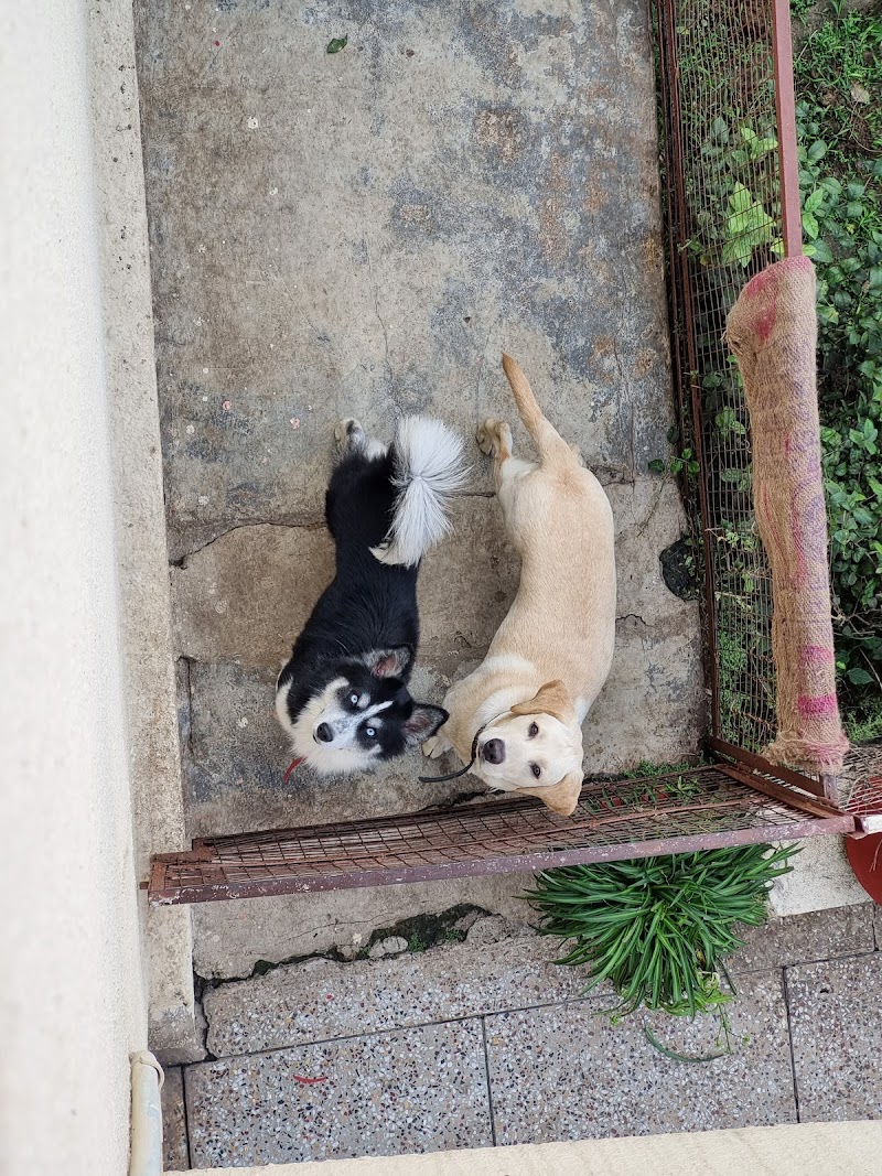 CUDDLING CUTES — Photo 2