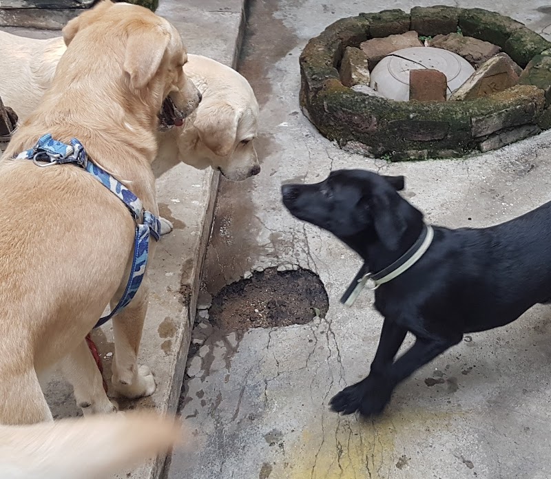 CUDDLING CUTES — Photo 3