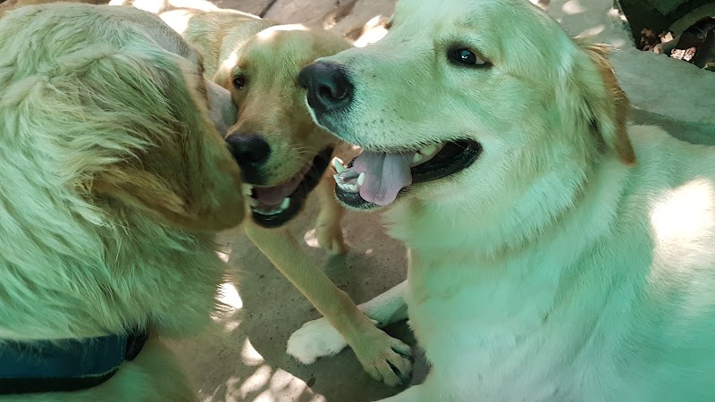 CUDDLING CUTES — Photo 4