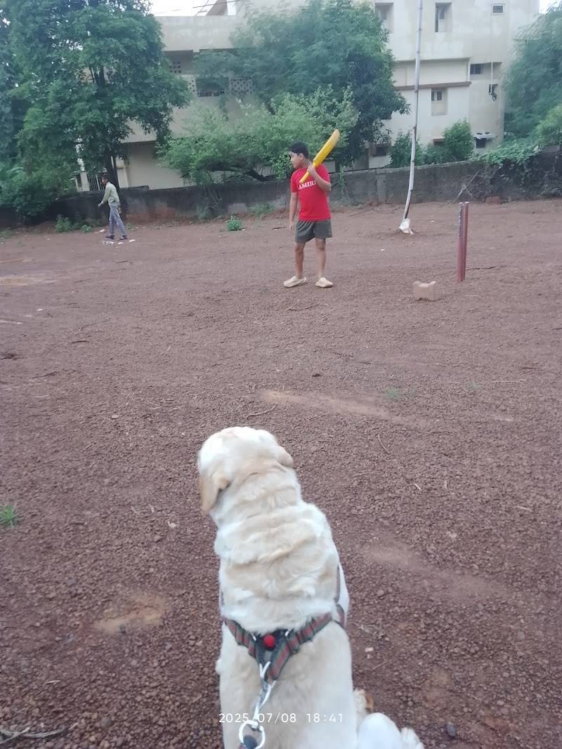 Daisy Dog walker service (🐕🦺Daily walk super Talk🐕🦺) — Photo 2