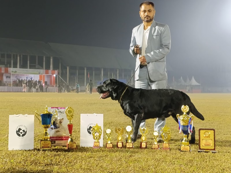 Daisy Kennel — Photo 3