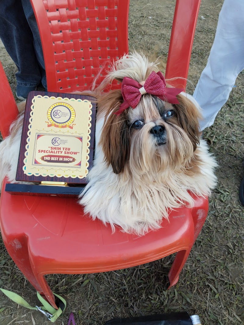 Daisy Kennel — Photo 4