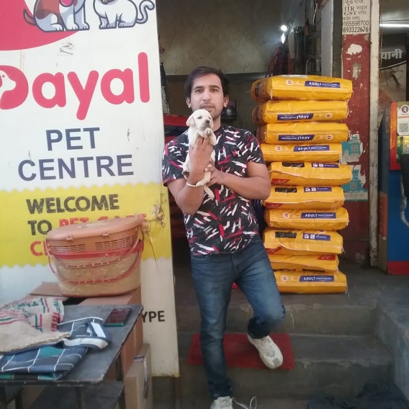 Dayal pet