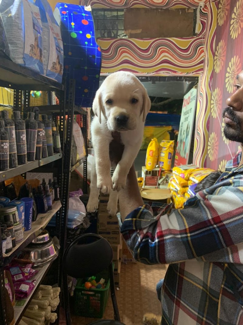 Dayal pet — Photo 2