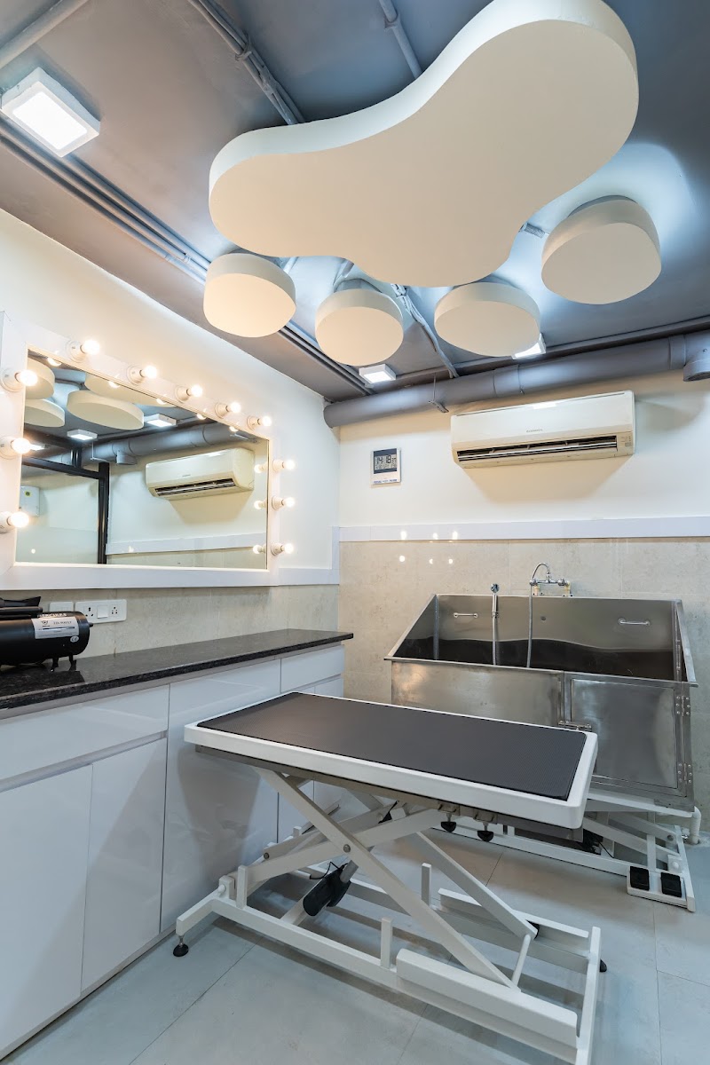 DCC Animal Hospital & Petcare