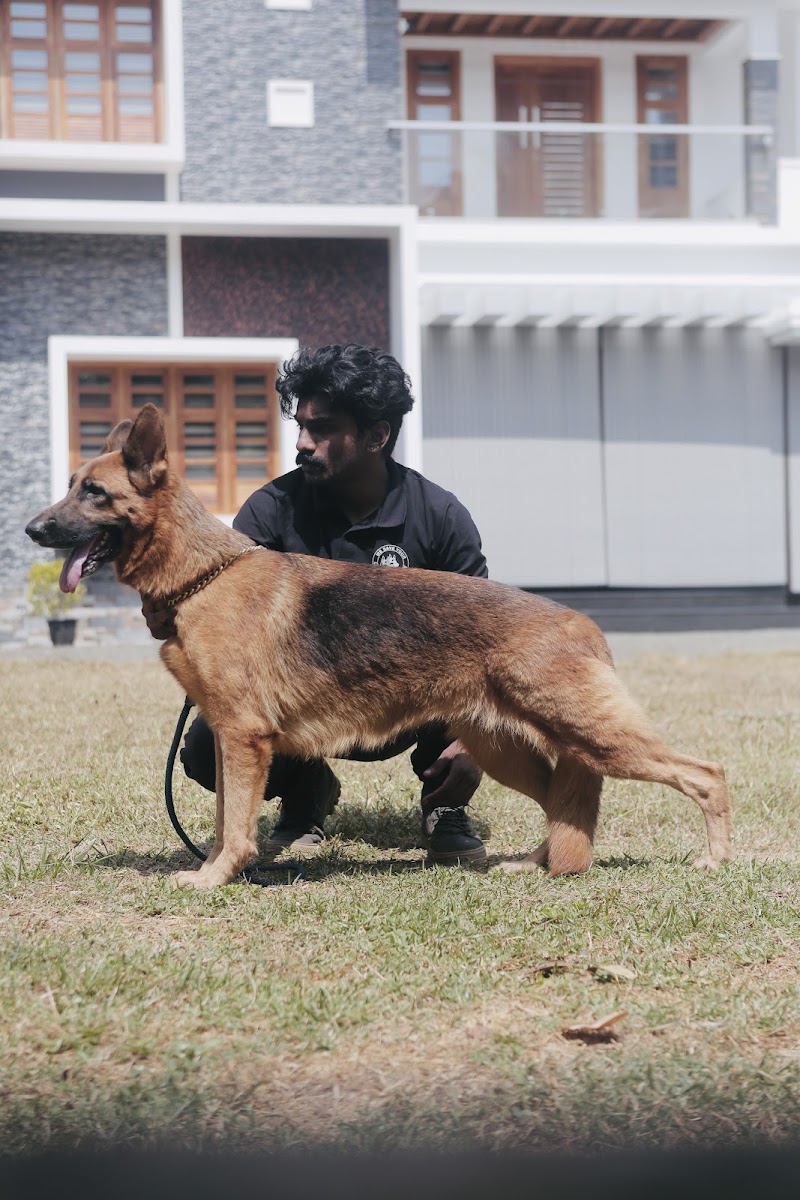 DDR K9 Dog Training Academy — Photo 3