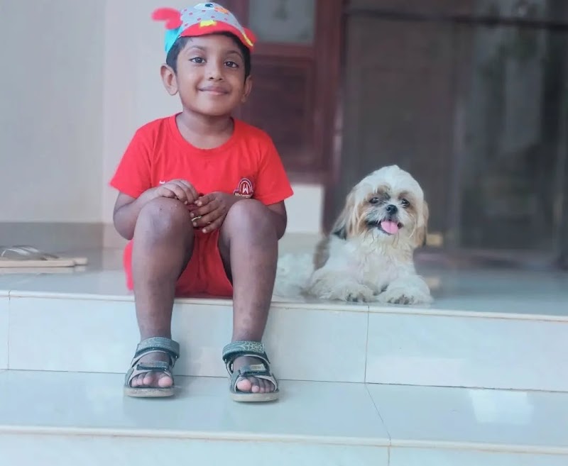 DELMON'S DOG CARE CENTRE — Photo 4