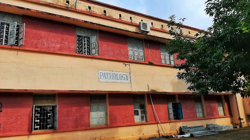 Department Of Veterinary Pathology — Photo 2