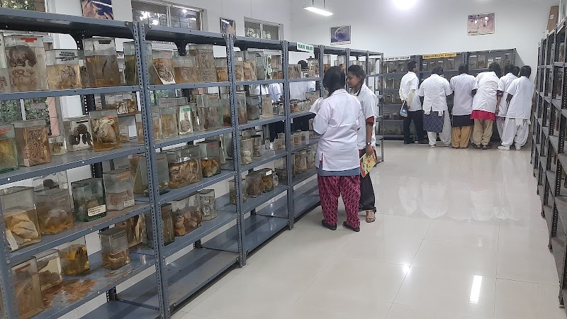 Department Of Veterinary Pathology — Photo 3