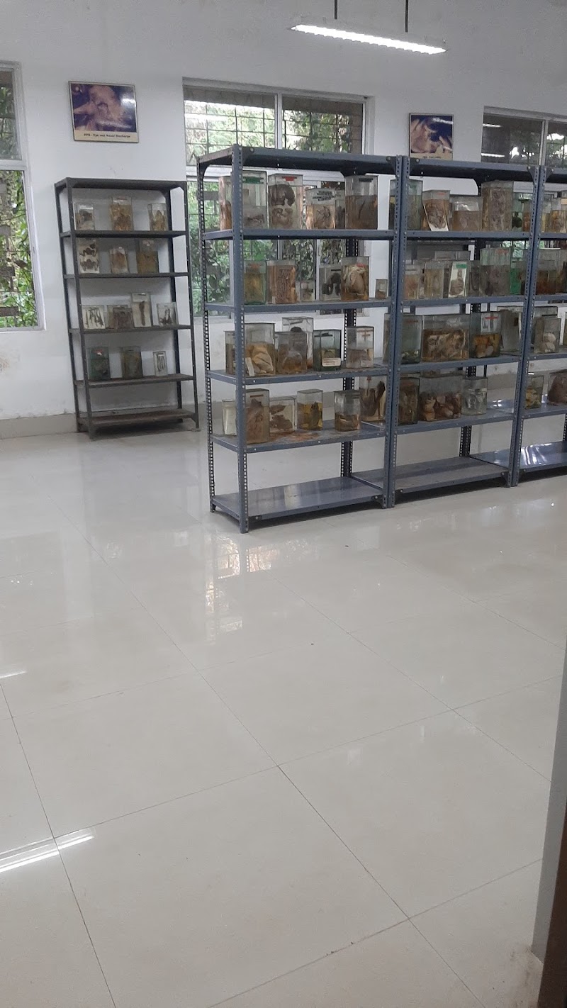 Department Of Veterinary Pathology — Photo 4