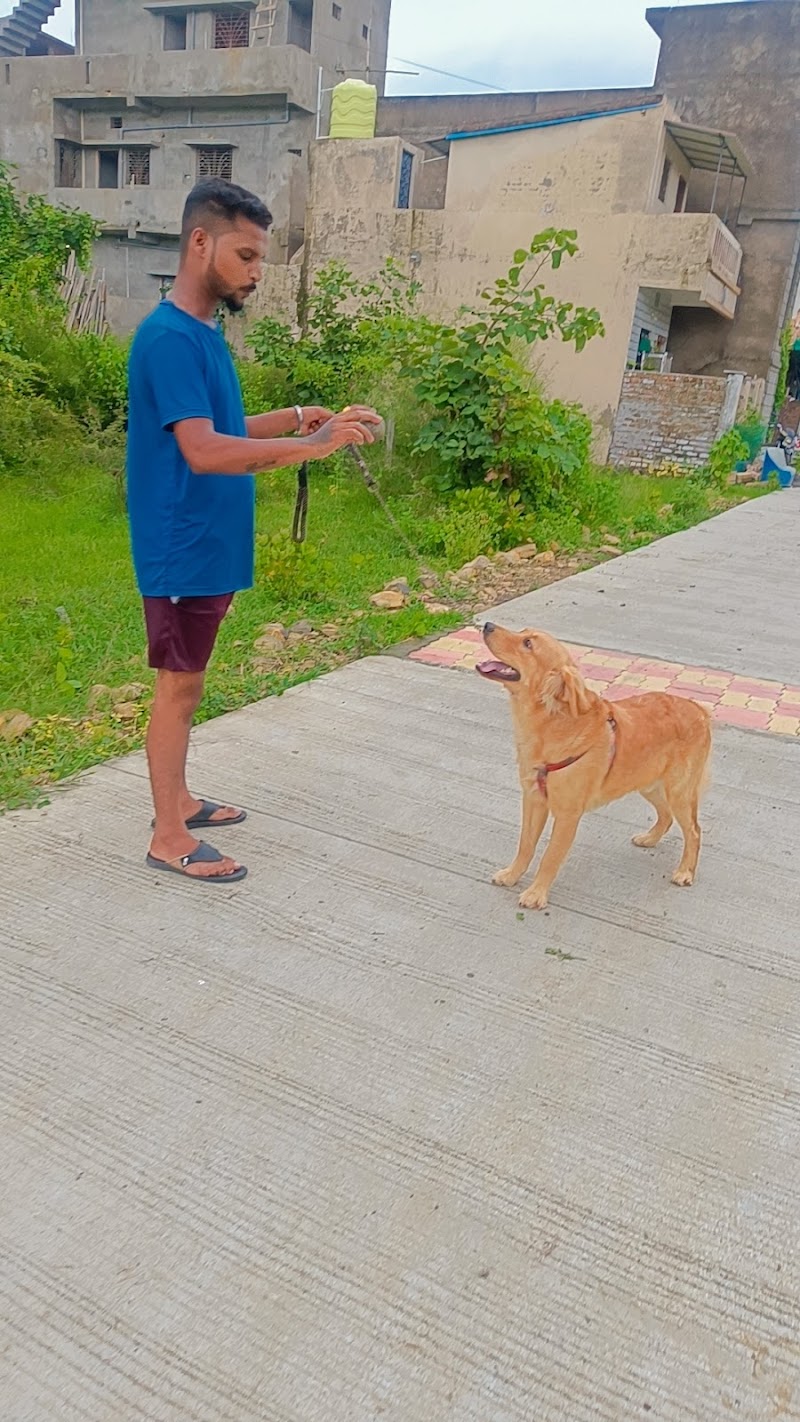 DESTINATION Dog House — Photo 2