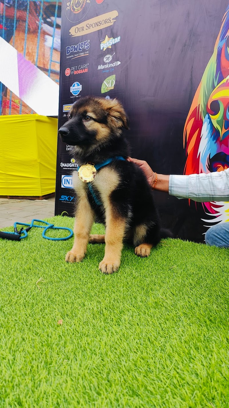 DESTINATION Dog House — Photo 3