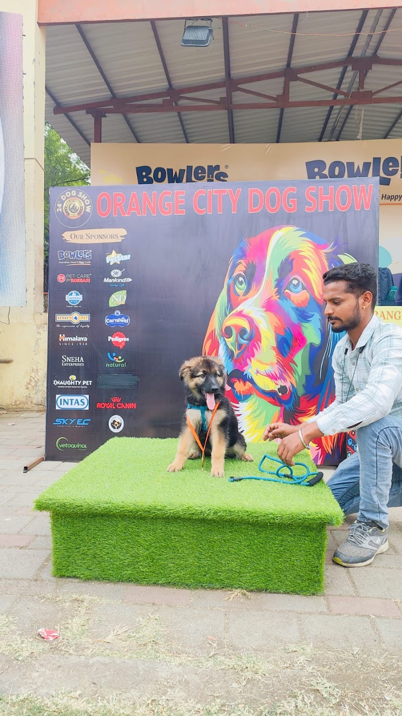 DESTINATION Dog House — Photo 4