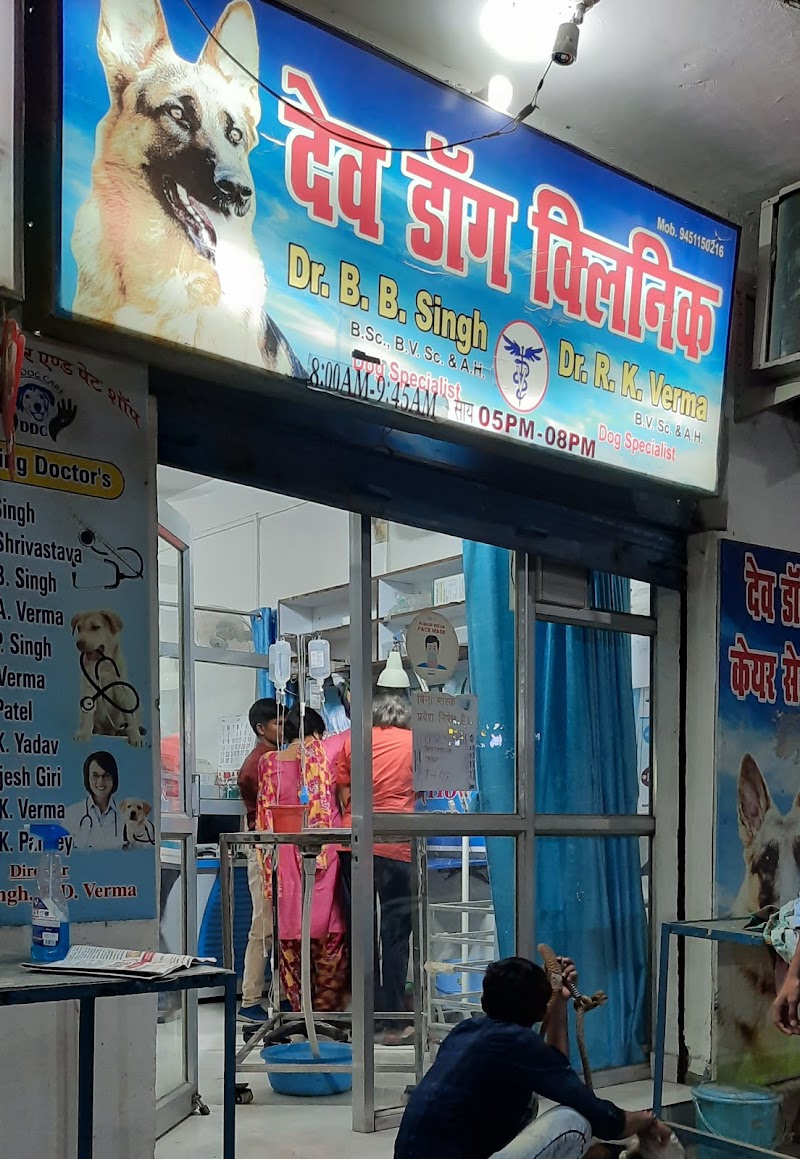 DEV DOG CLINIC (Dr Verma ,Dr Singh ) — Photo 2