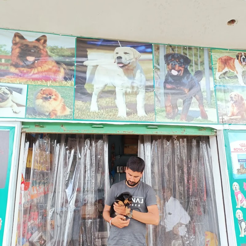 Dev Raghav Pets Farm House /Dog kennel/Home breeding puppies